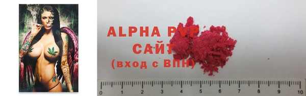 гашик Баксан