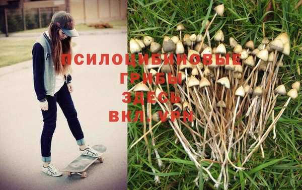 каннабис Балабаново