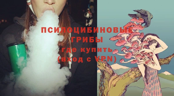 гашик Баксан