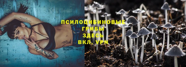 гашик Баксан