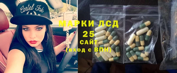 гашик Баксан