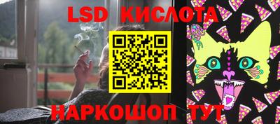 PSILOCYBIN Тверь