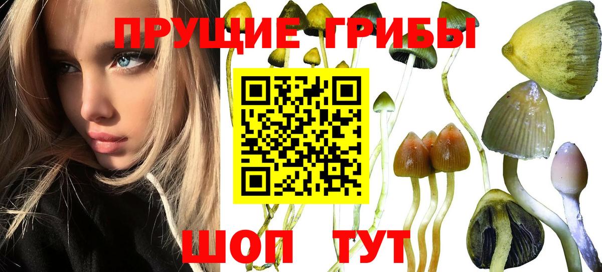 Псилоцибиновые грибы Magic Shrooms Сегежа